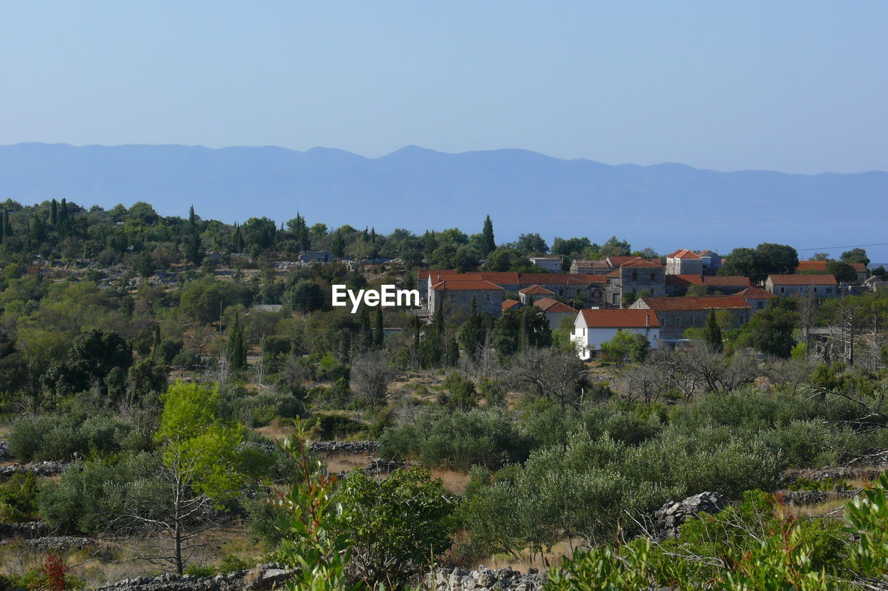 Scenic view of trees and buildings against sky