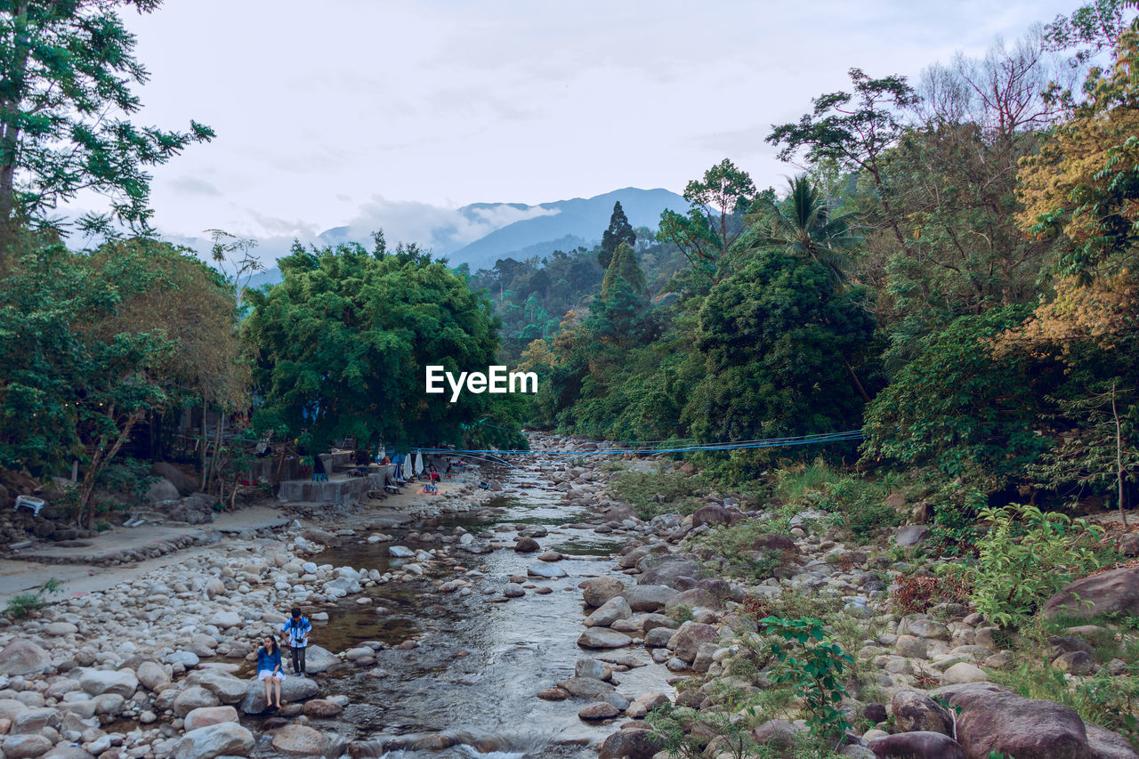 SCENIC VIEW OF RIVER IN FOREST