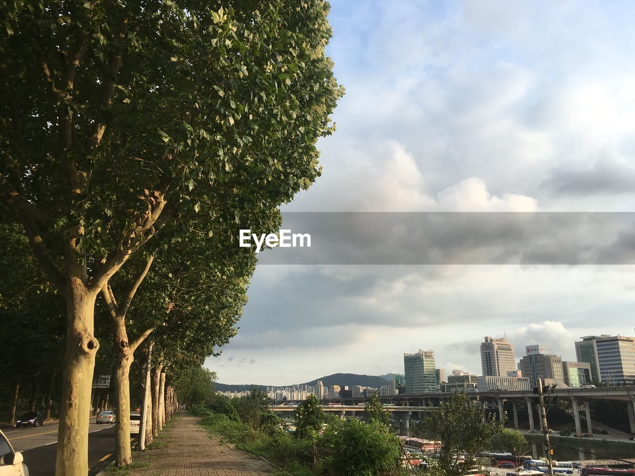 Road amidst trees and buildings against sky