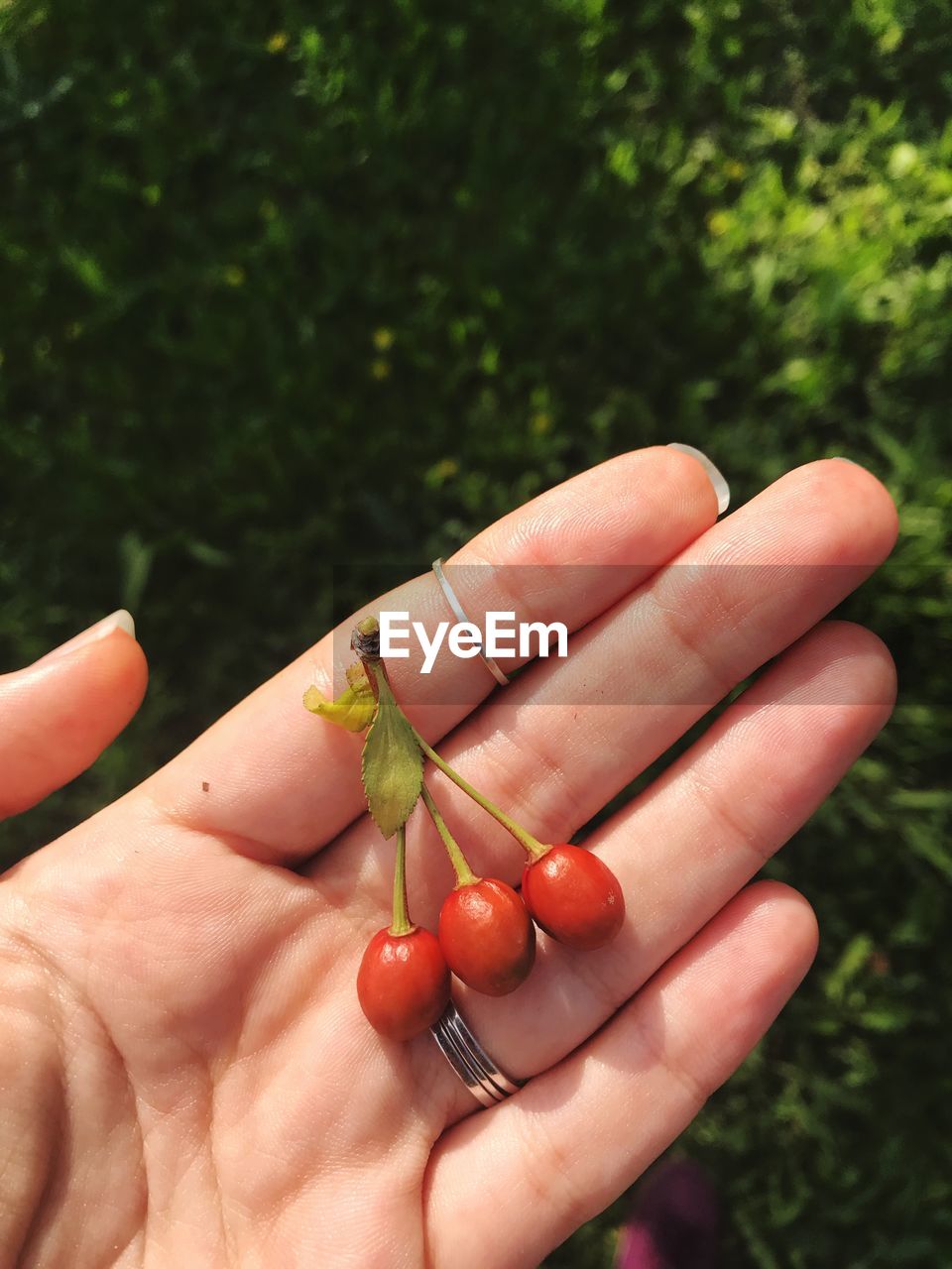 Little cherries on hand