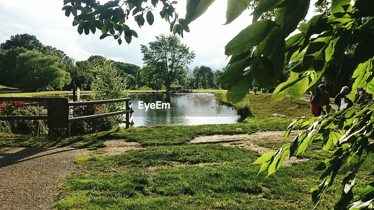 VIEW OF LAKE WITH TREES IN BACKGROUND