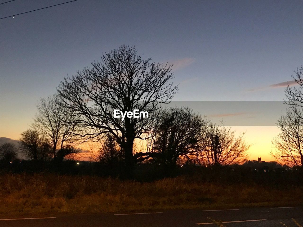 SILHOUETTE TREES ON LANDSCAPE AGAINST SKY AT SUNSET