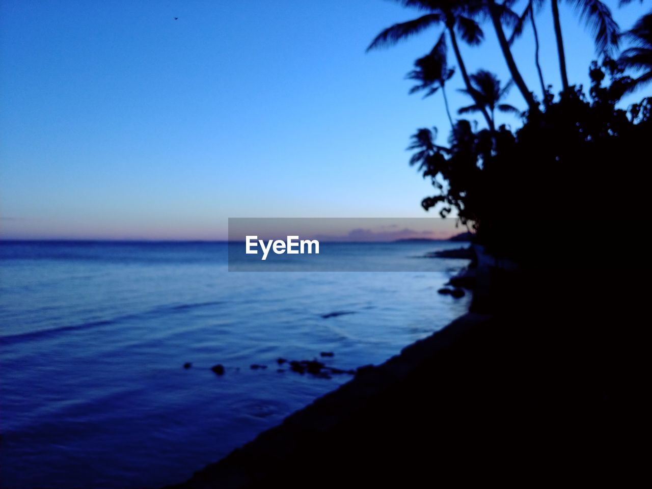 SCENIC VIEW OF BEACH AGAINST CLEAR SKY