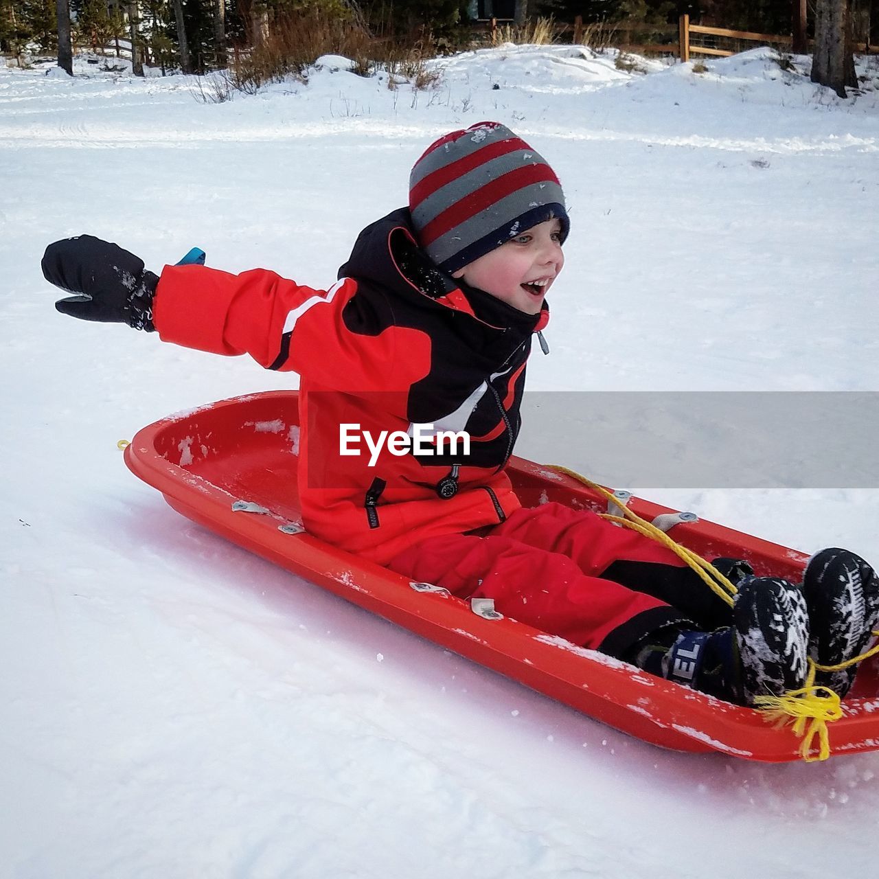 Cheerful tobogganing on snow covered field