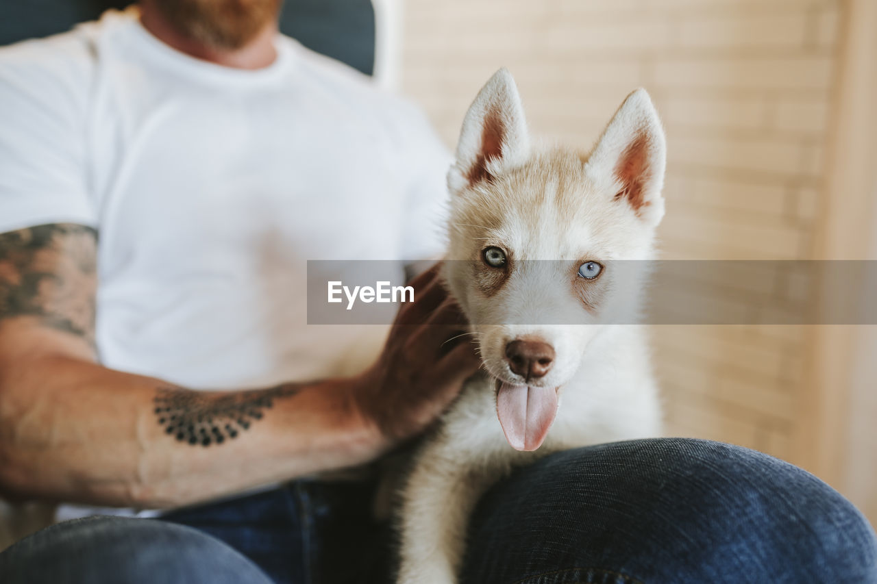 Man sitting with puppy on chair at home