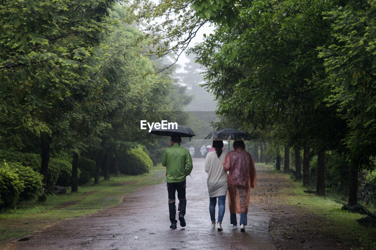 People walking with umbrella on footpath during rainy season at bijarim forest