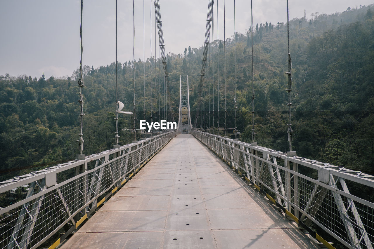 Bridge in forest against sky