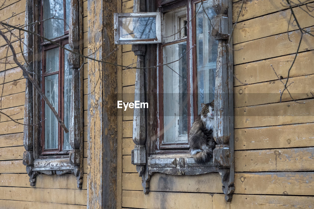 full frame shot of wooden door