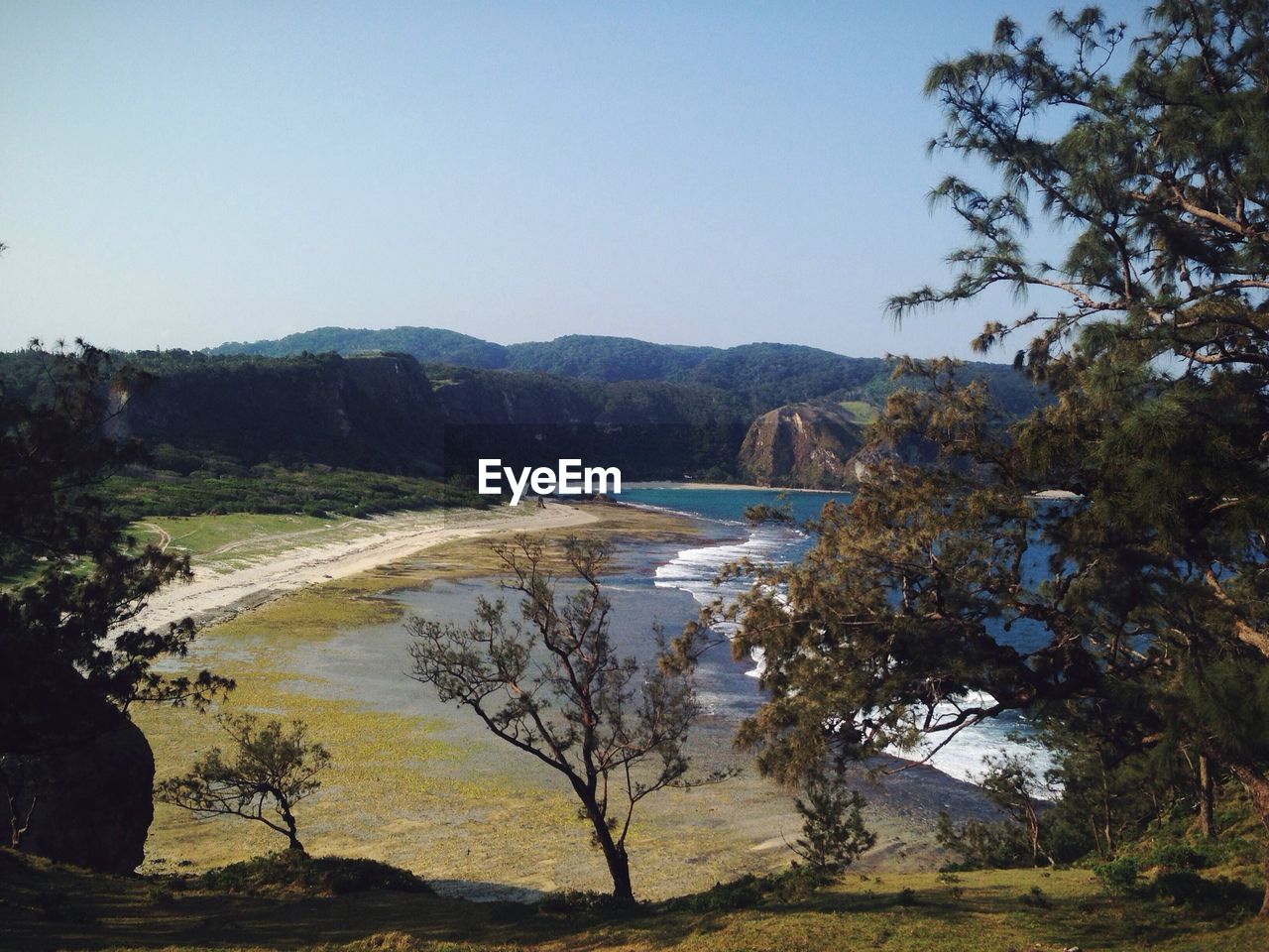 Scenic view of beach against clear sky