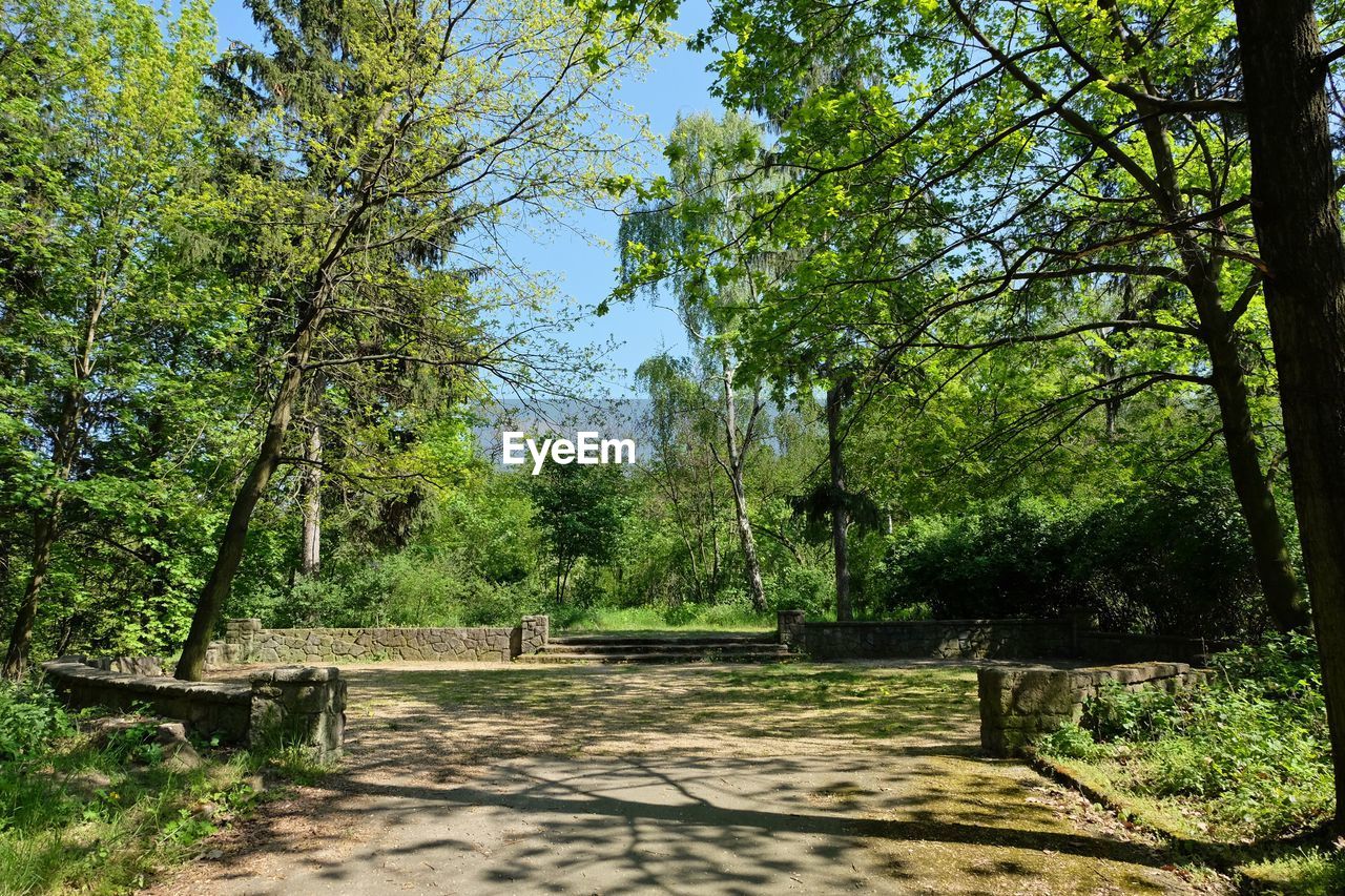 Footpath in park