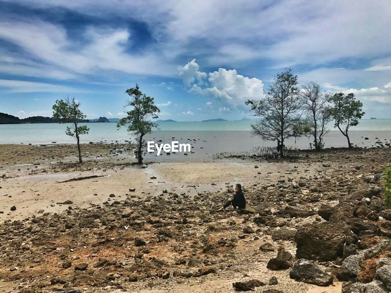 TREES ON SHORE AGAINST SKY