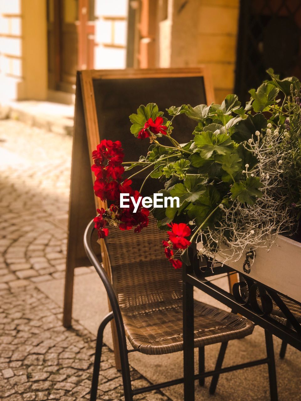 POTTED PLANT ON TABLE BY FLOWER POT