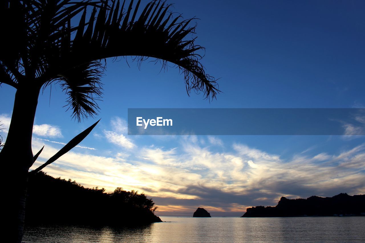 SILHOUETTE PALM TREES BY SEA AGAINST SKY AT SUNSET