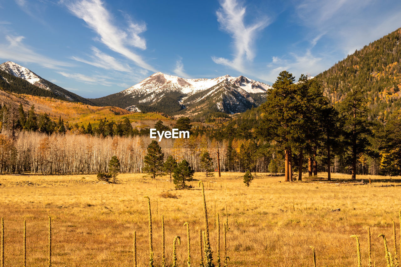 Lockett meadow and san francisco peaks in flagstaff, arizona.