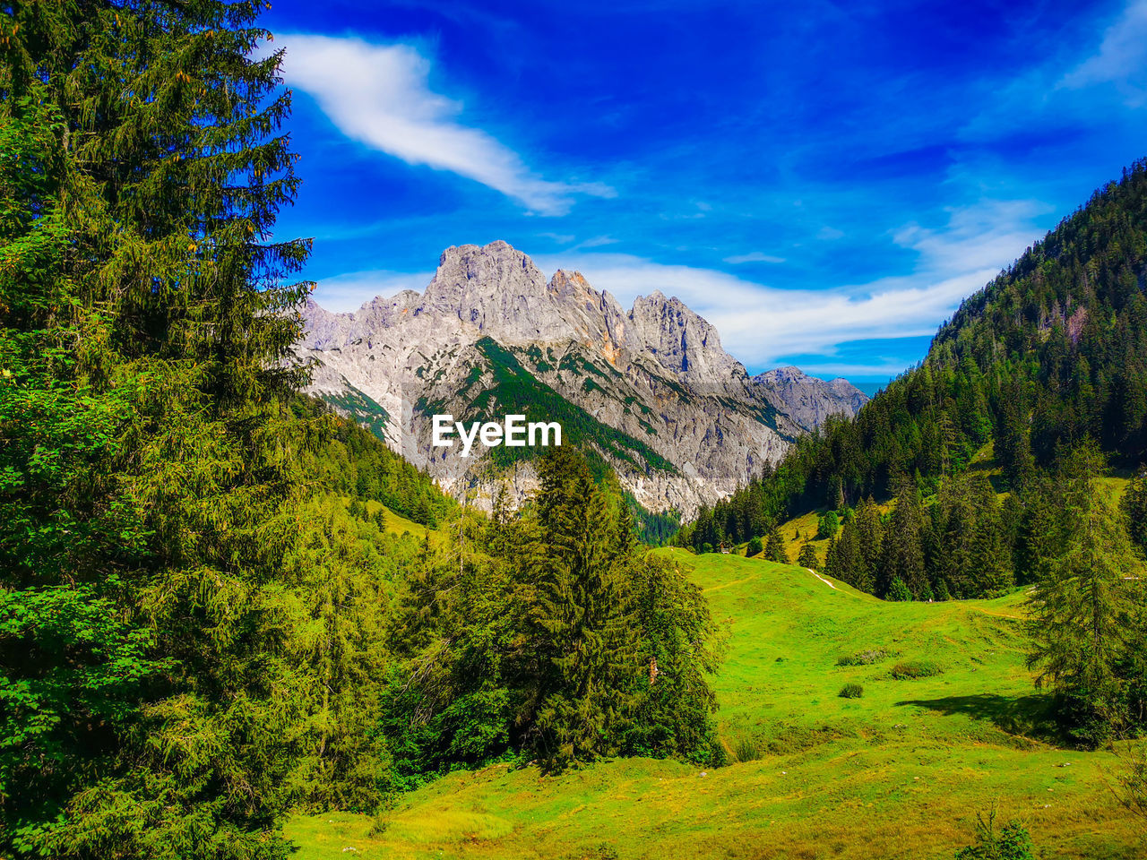 SCENIC VIEW OF TREE MOUNTAINS AGAINST SKY