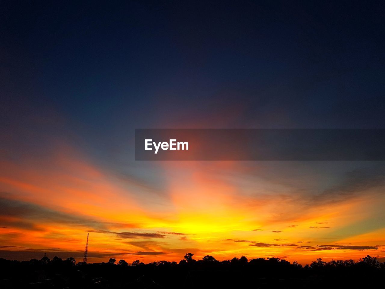 Silhouette trees against dramatic sky during sunset