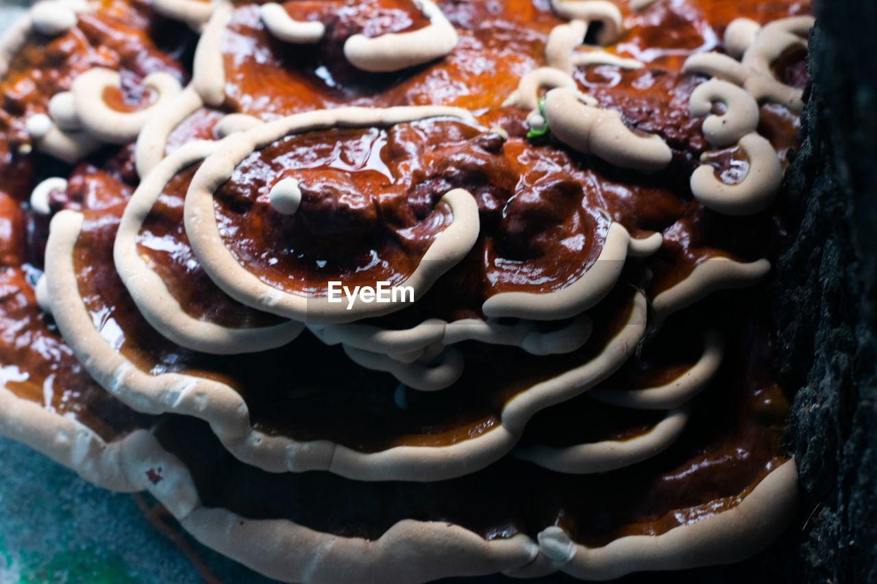 HIGH ANGLE VIEW OF DESSERT ON PLATE