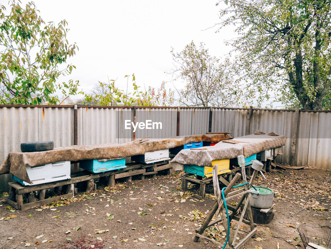 EMPTY CHAIRS AND TABLE AGAINST TREES