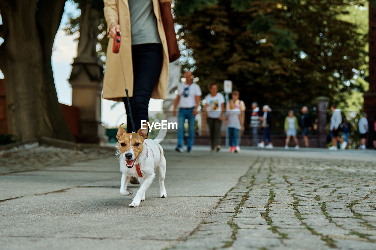 Woman walks with dog at city street