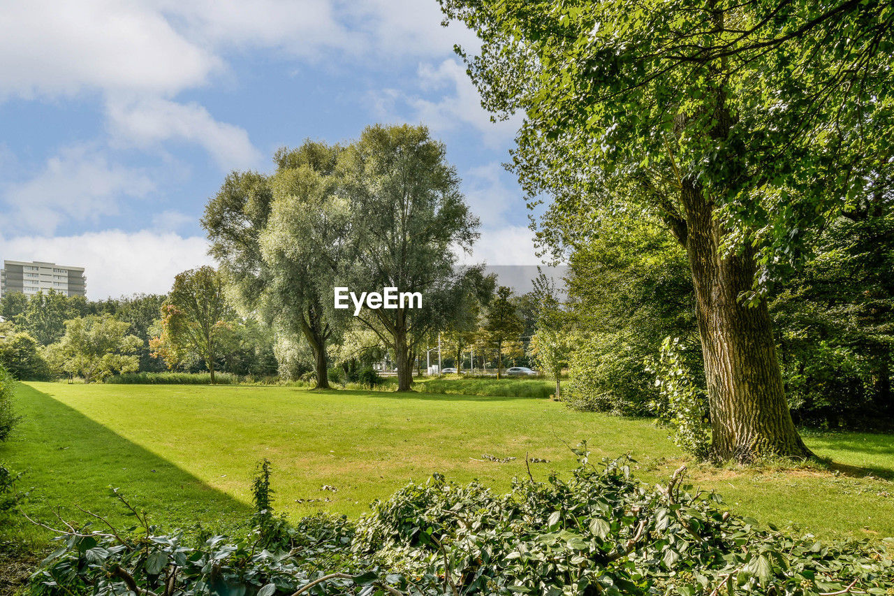 plant, tree, green, grass, sky, lawn, nature, garden, meadow, woodland, flower, beauty in nature, cloud, growth, park, rural area, landscape, tranquility, environment, day, no people, estate, tranquil scene, scenics - nature, field, sunlight, land, outdoors, autumn, leaf, park - man made space, architecture, non-urban scene, idyllic, pasture