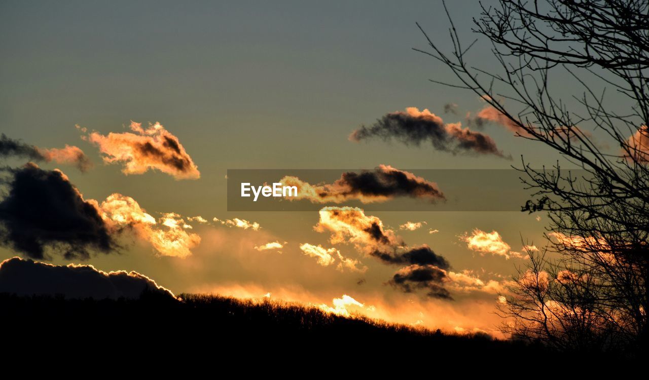 SCENIC VIEW OF SILHOUETTE TREES AGAINST SKY