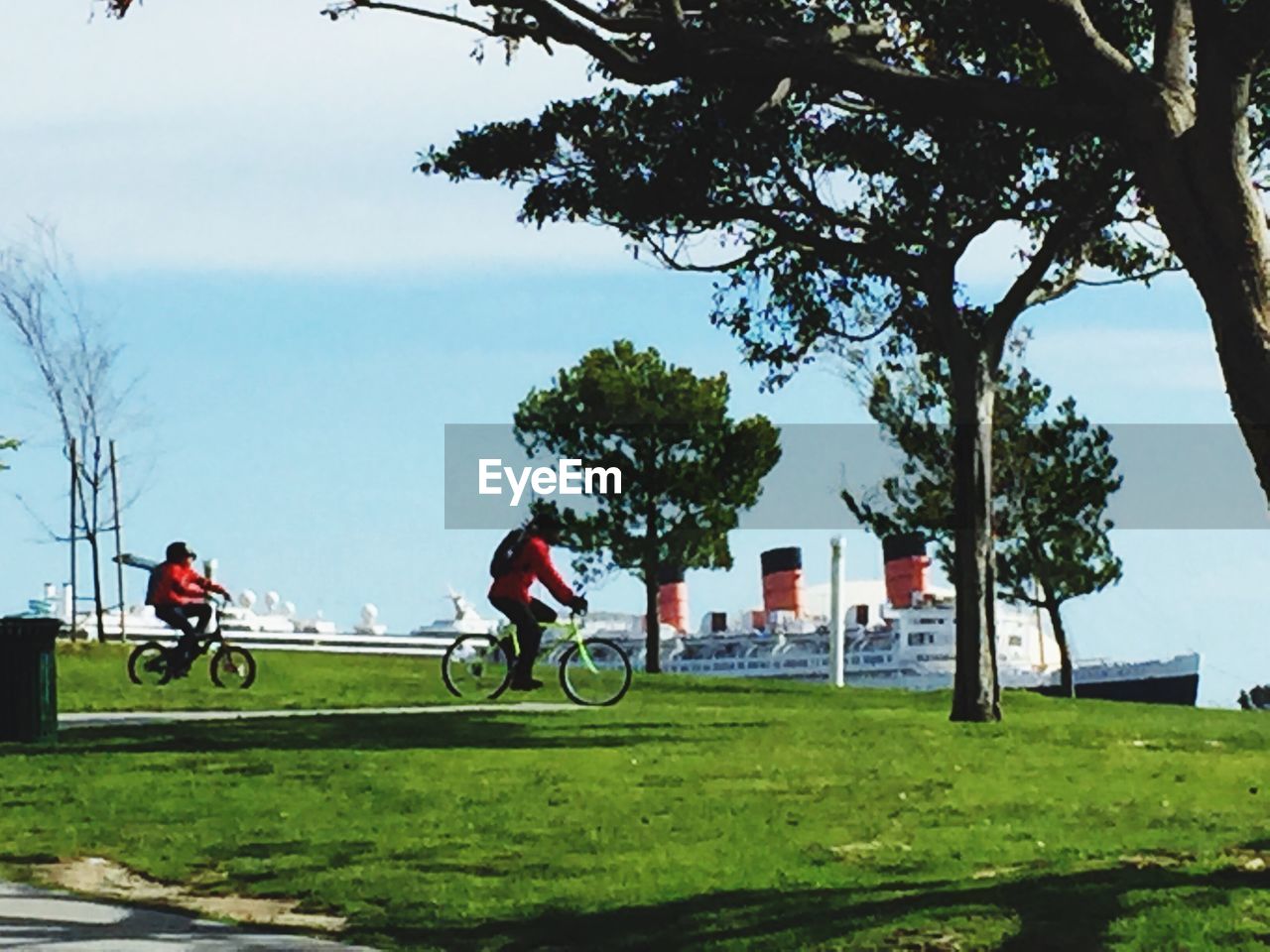 BICYCLES ON GRASS