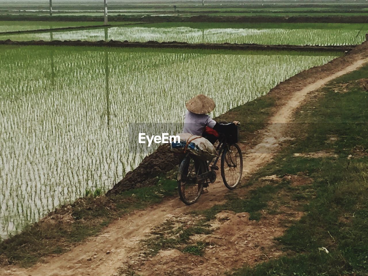 Man riding motorcycle on road