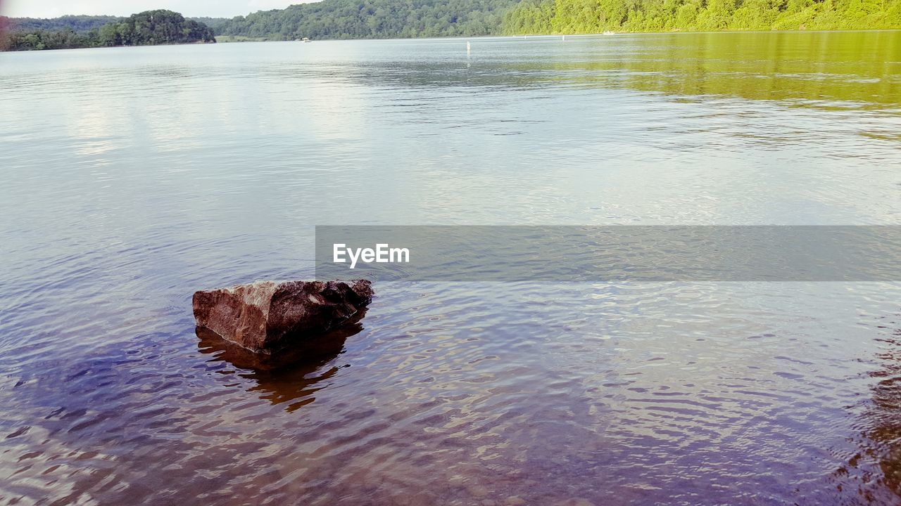 LEAF IN LAKE