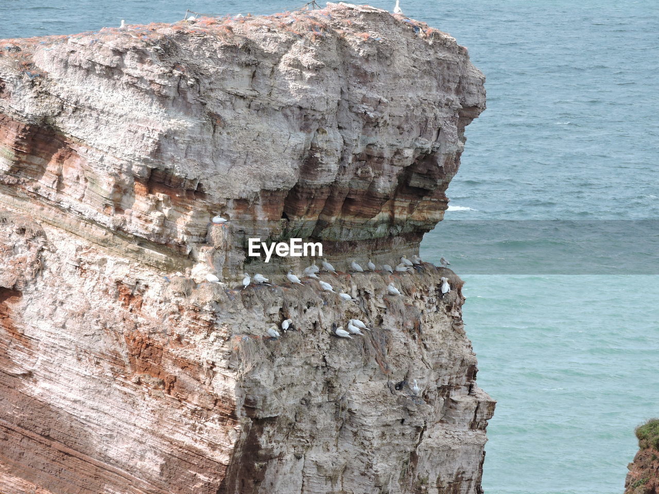 Rock formations on cliff