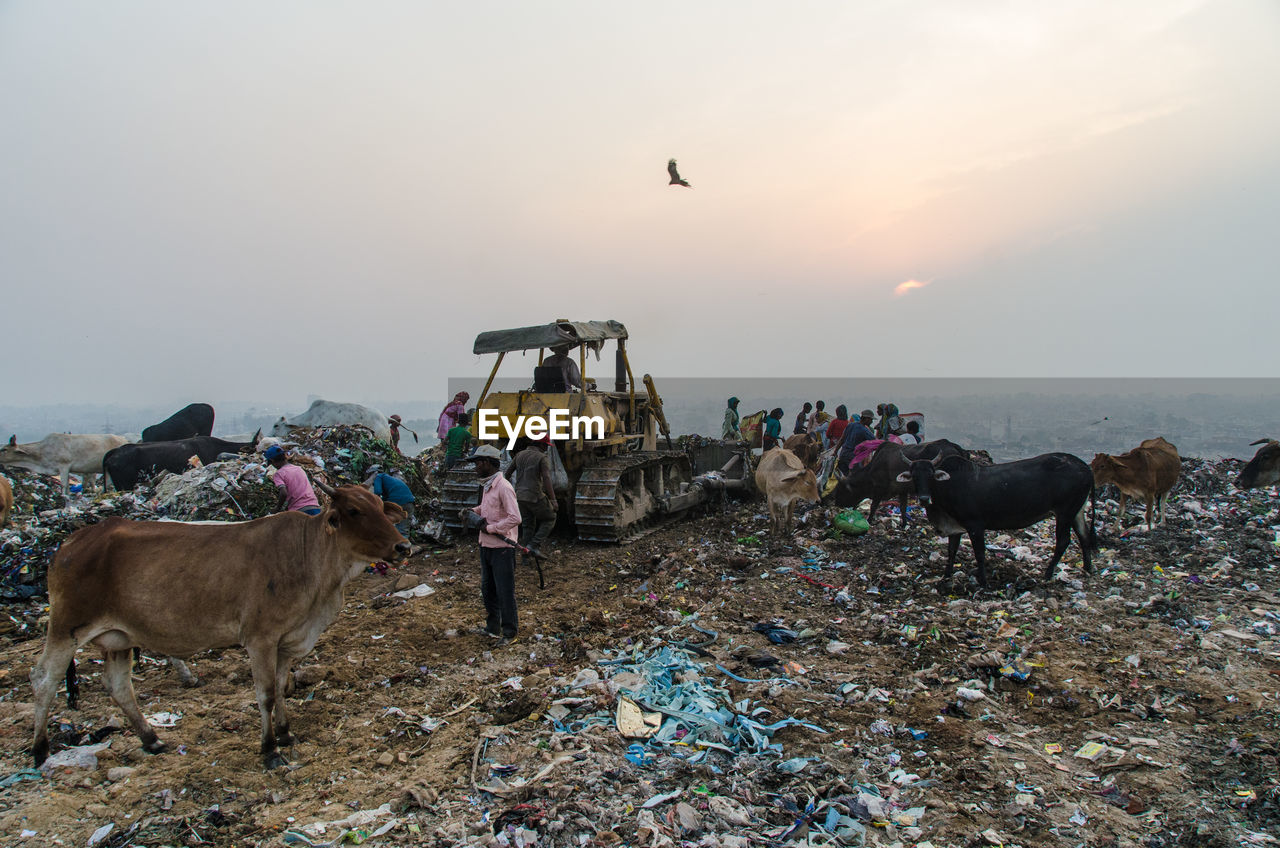 Landfill in new delhi india