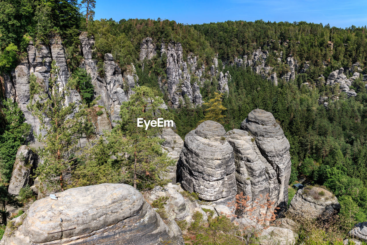 ROCKS AND TREES ON ROCK