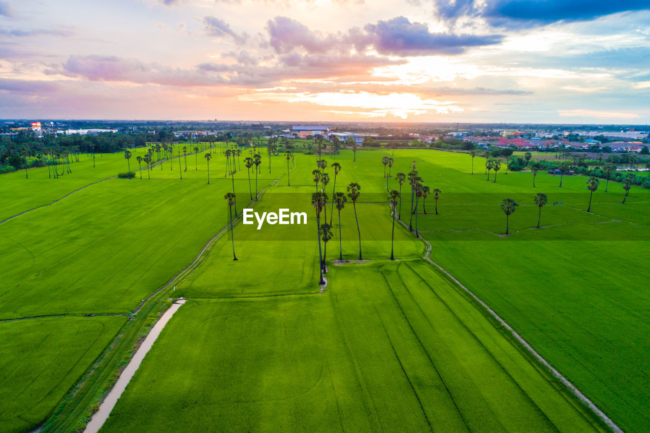 SCENIC VIEW OF FARM AGAINST SKY DURING SUNSET