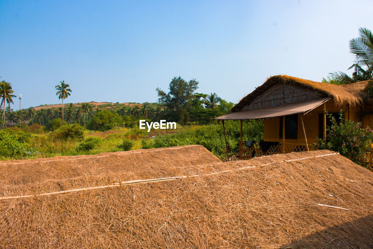 architecture, tropical climate, plant, tree, nature, sky, built structure, landscape, rural area, house, building, palm tree, land, building exterior, environment, rural scene, no people, soil, hut, roof, blue, outdoors, residential district, agriculture, travel destinations, thatched roof, scenics - nature, beauty in nature, estate, day, tranquility, clear sky, travel, thatching, farm, field, sunny