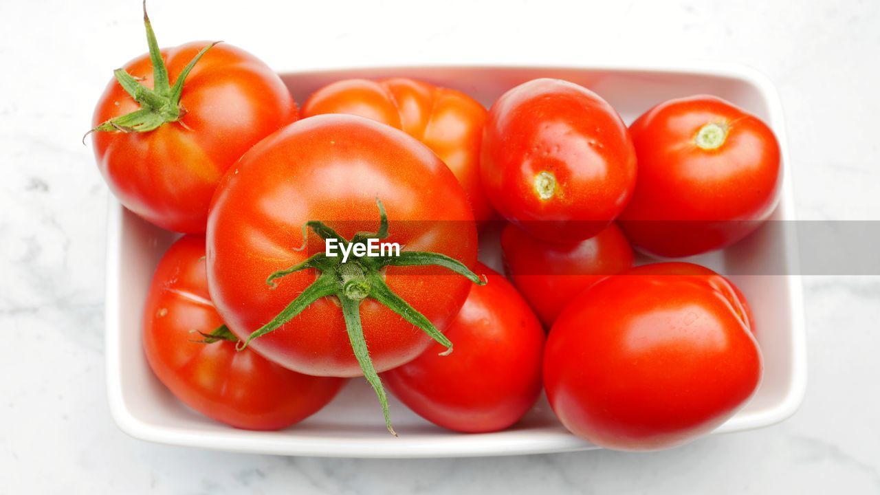 HIGH ANGLE VIEW OF TOMATOES IN CONTAINER