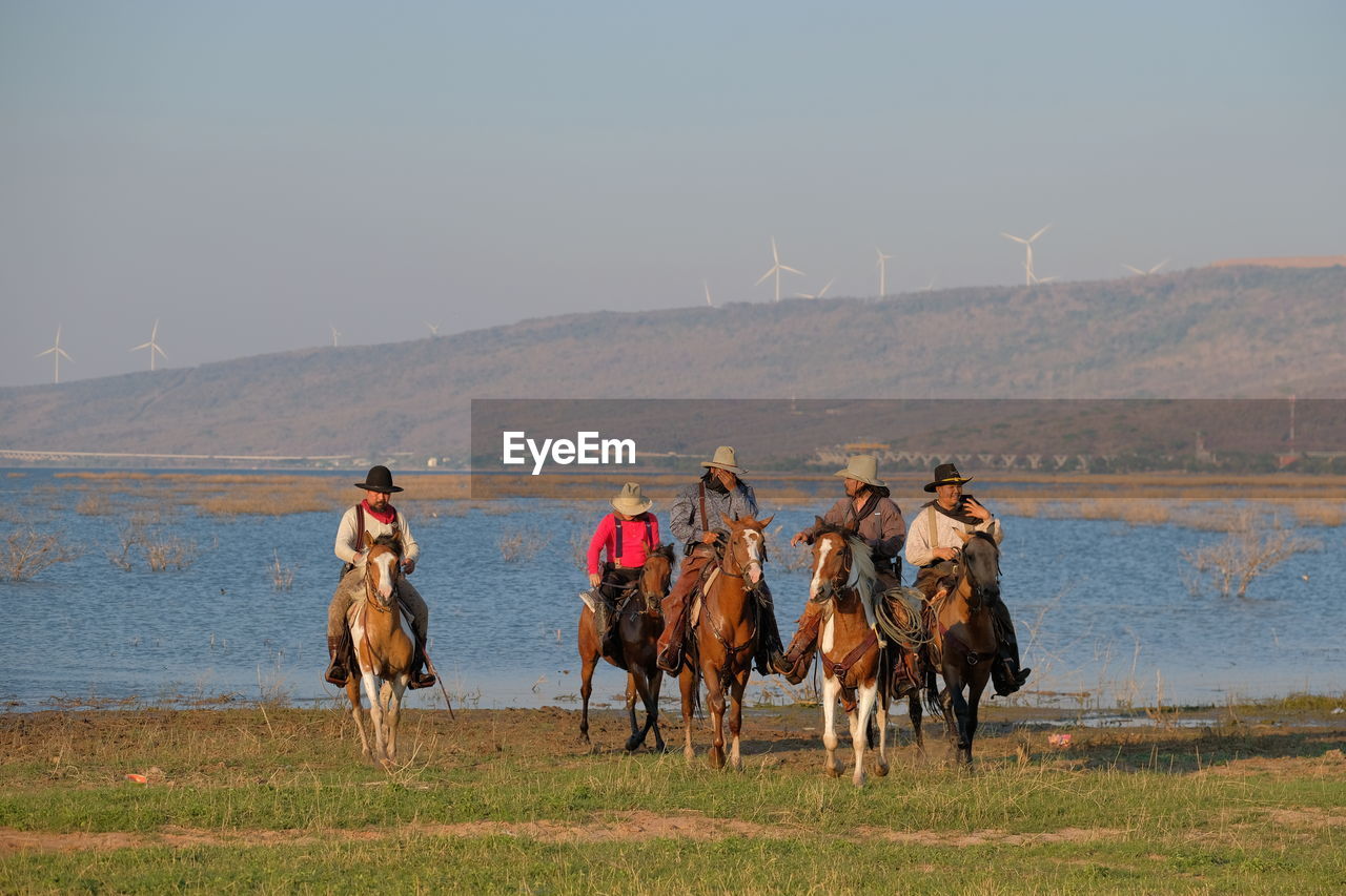 VIEW OF HORSES IN THE SEA