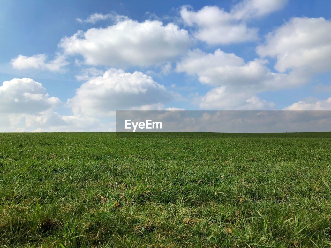 SCENIC VIEW OF FARM AGAINST SKY