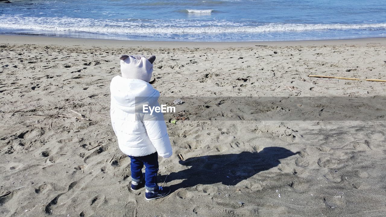 REAR VIEW OF DOG ON BEACH