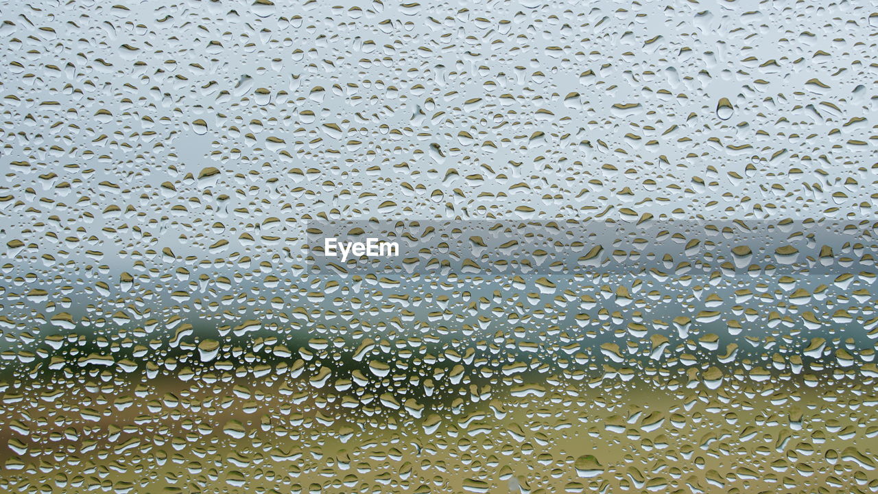 full frame, backgrounds, pattern, no people, textured, window, close-up, glass, water, wet, drop, circle, indoors, day, leaf, transparent, abstract, nature