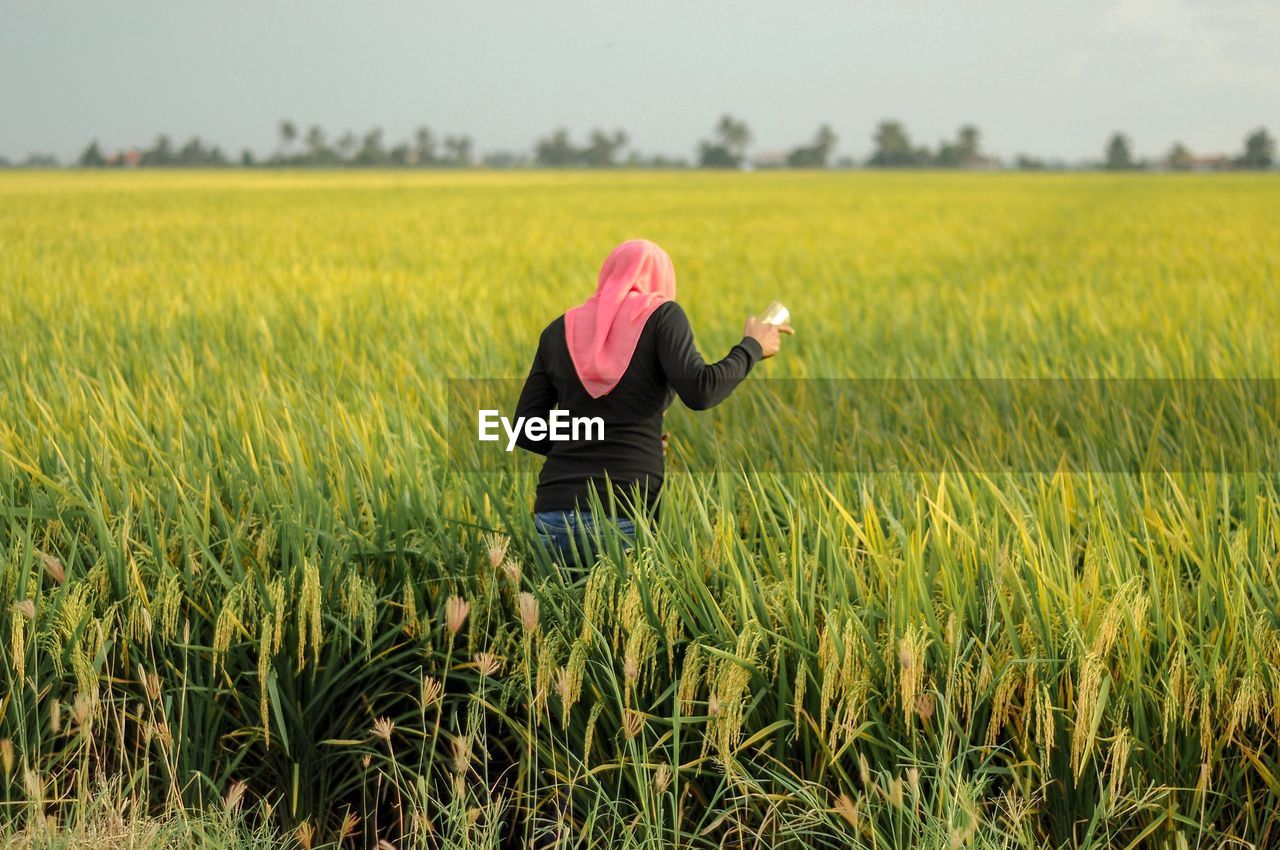 View of people standing in paddy field