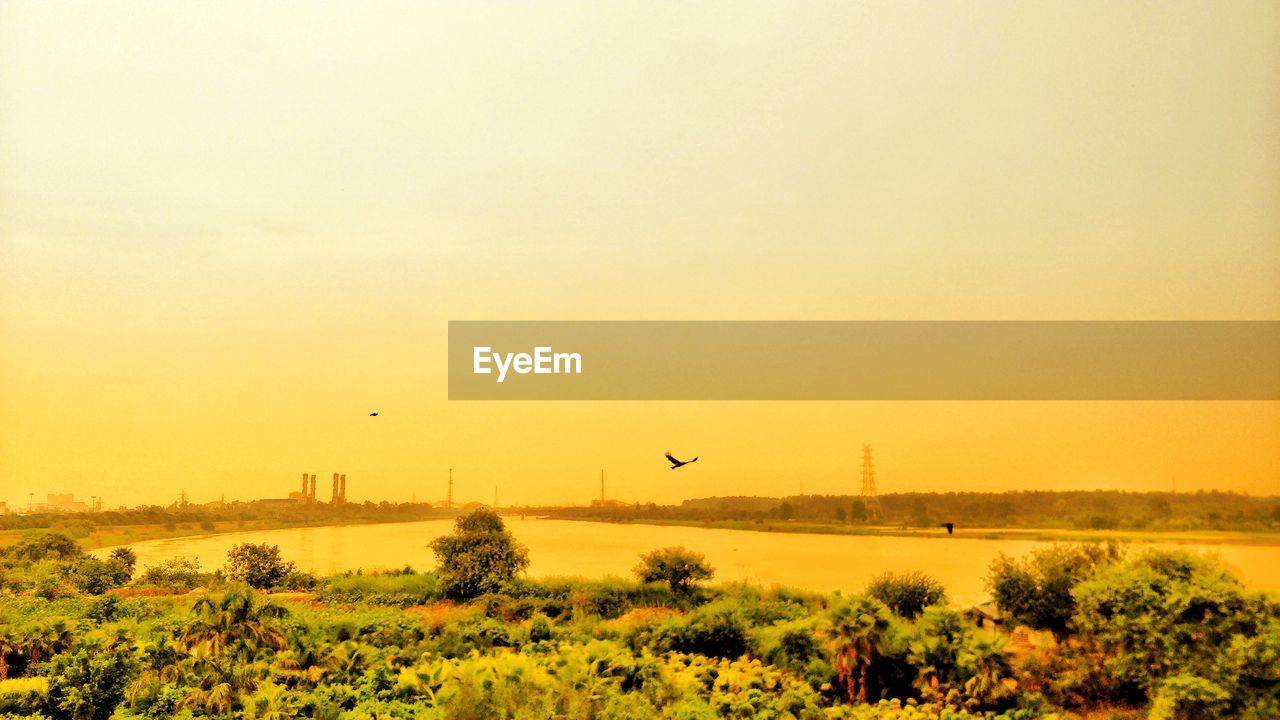 Bird flying over river of sunset