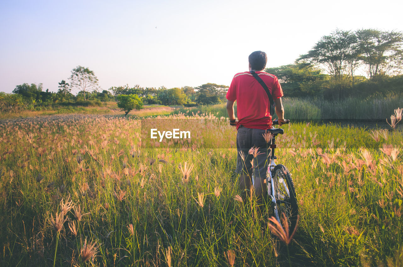 Back view of a black hair man with a bike in the meadow at sunset