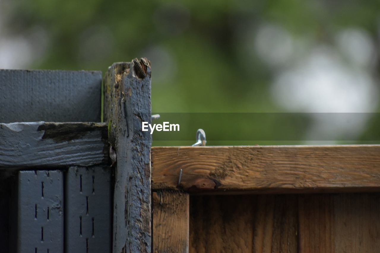 CLOSE-UP OF BIRD ON WOODEN FENCE