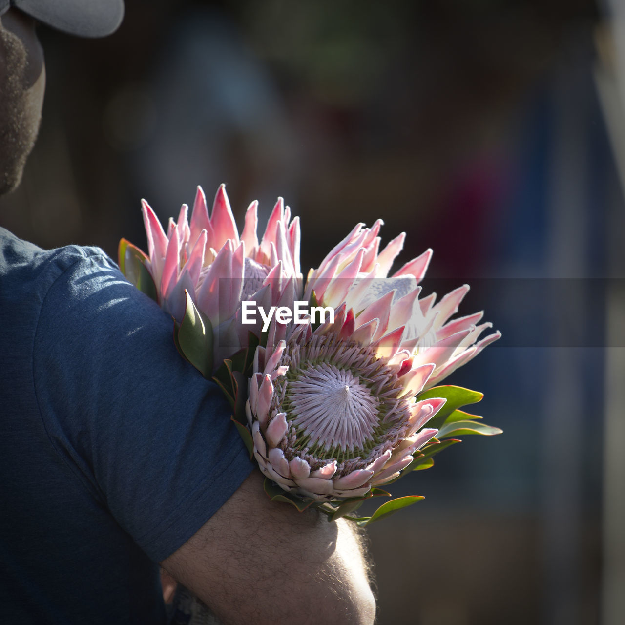 Midsection of man holding pink flowers