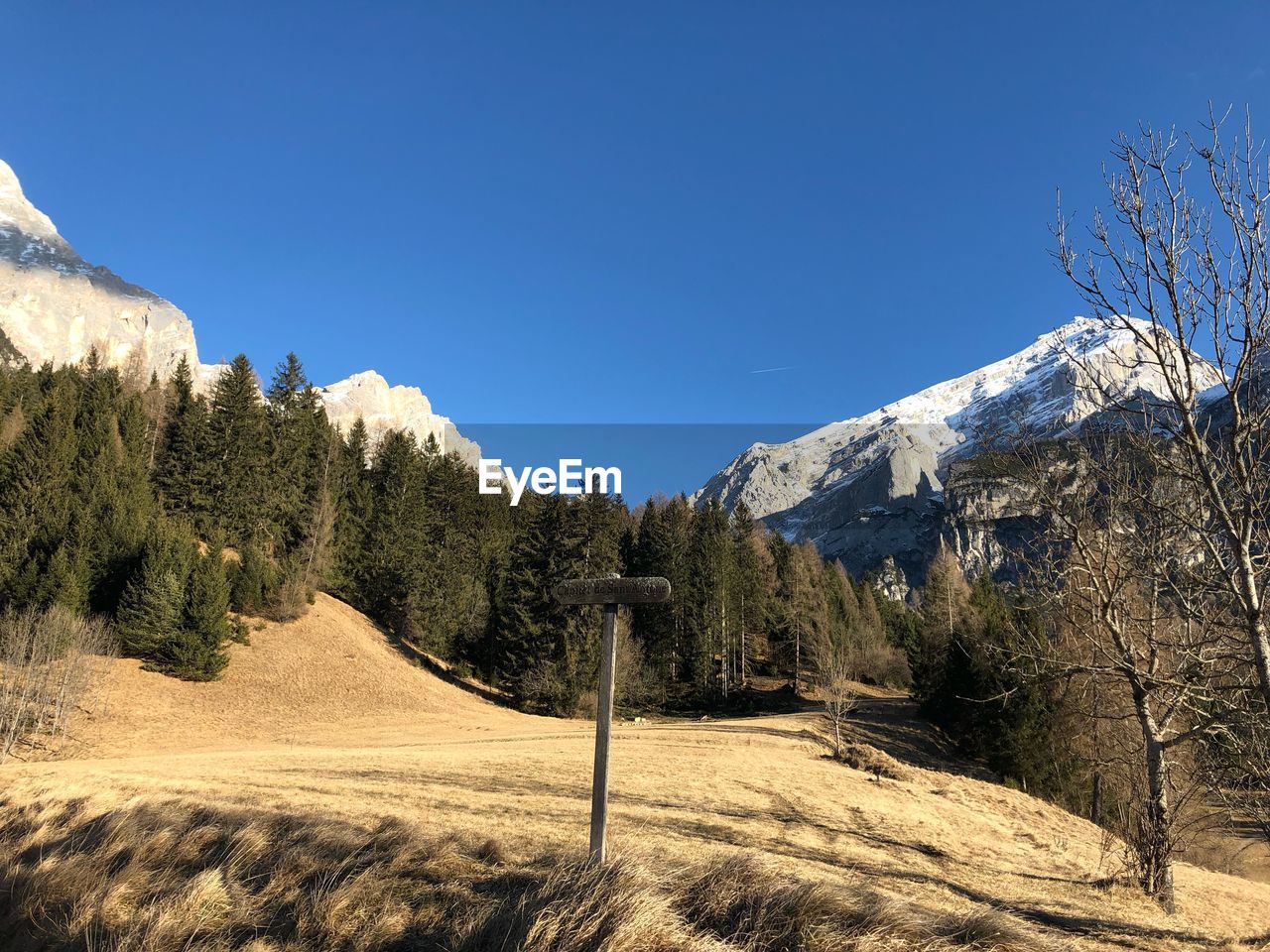 Scenic view of landscape against clear blue sky