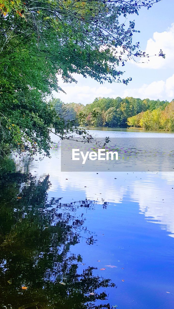 SCENIC VIEW OF LAKE BY TREES AGAINST SKY