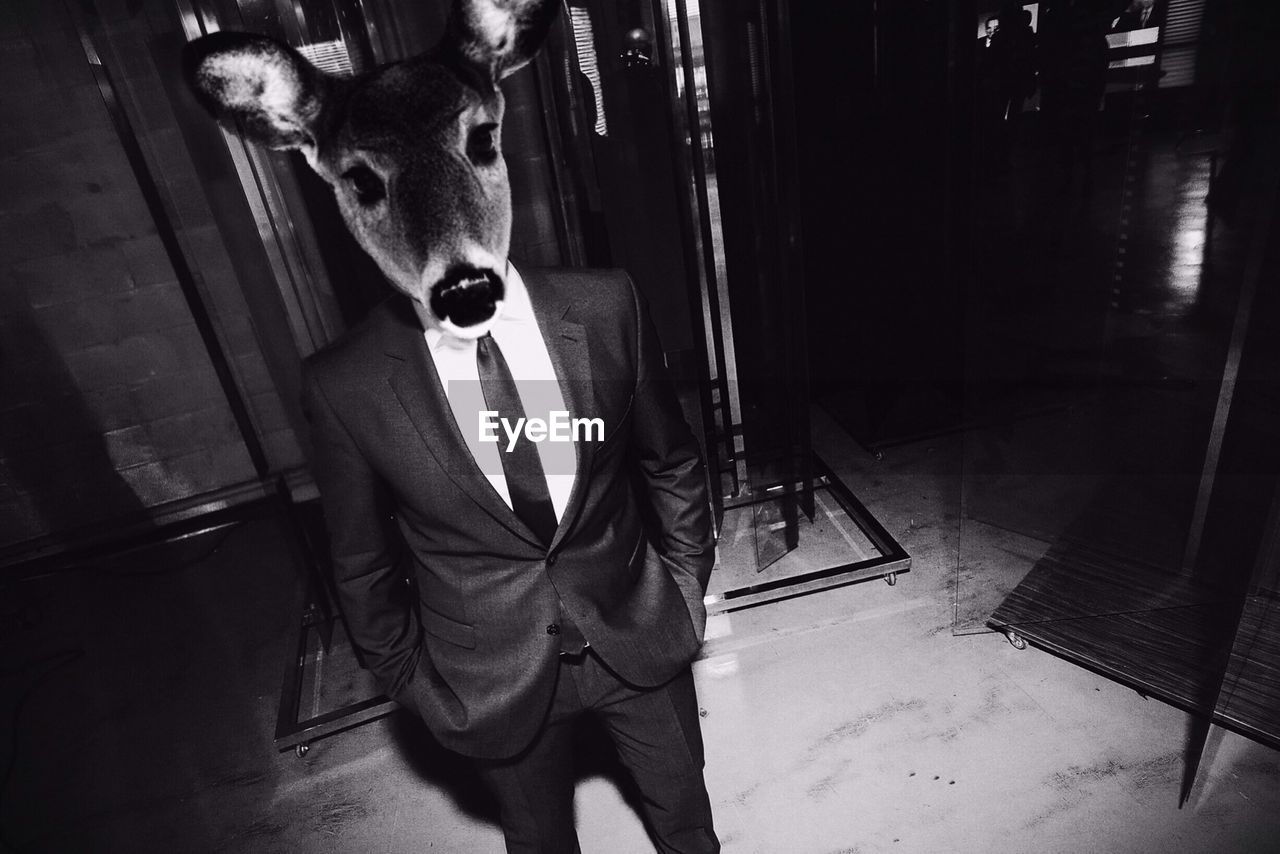 Man in suit wearing deer mask