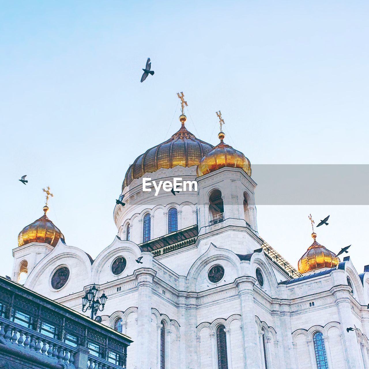 Low angle view of birds flying over cathedral of christ the saviour against sky