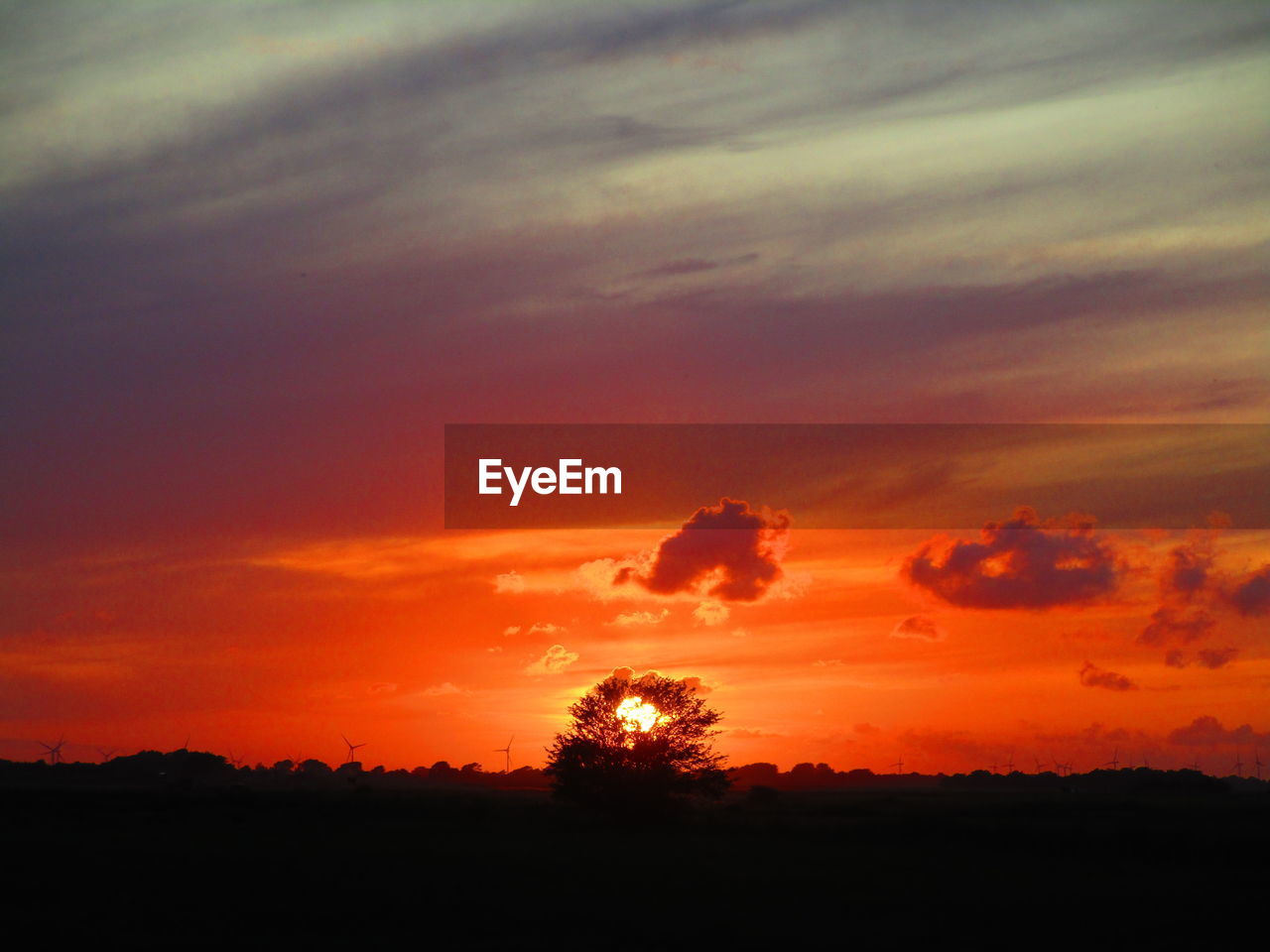 SCENIC VIEW OF DRAMATIC SKY OVER SILHOUETTE TREES