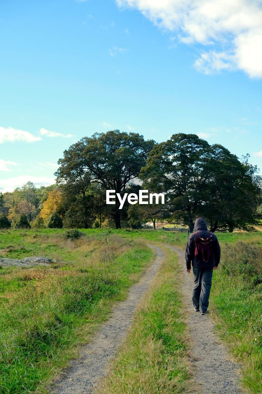 FULL LENGTH REAR VIEW OF MAN WALKING ON FIELD