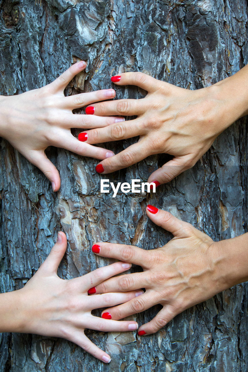Cropped hands of women on tree trunk